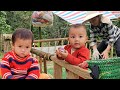 Single mother takes care of her picks vegetables goes to the market to buy corn seeds