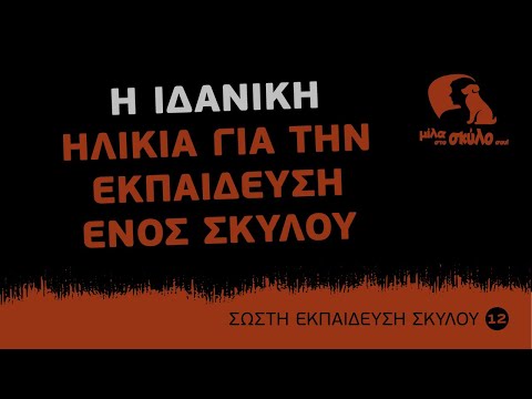 Βίντεο: Πότε να αρχίσετε να εκπαιδεύετε το σκυλί σας