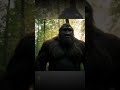 Canva AI Bigfoot Video – Shocking Results from AI Video Generator Technology
