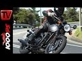 Triumph Bonneville T120 Test 2016 | Fazit, Leistung, Fahrverhalten