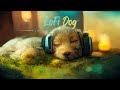 Lofi dog triple play ease separation anxiety relaxing music for your dog dog asmr