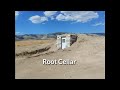 Our Root Cellar Project