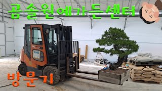 곰솔원예가든센터 방문기