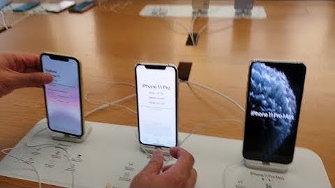 Are iphone 11 pro and 11 the same size