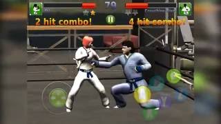 Karate Fighting Tiger 3D| Let’s Play Video screenshot 3