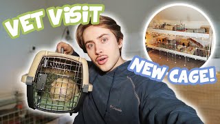 VET VISIT & A HUGE CAGE MAKEOVER!