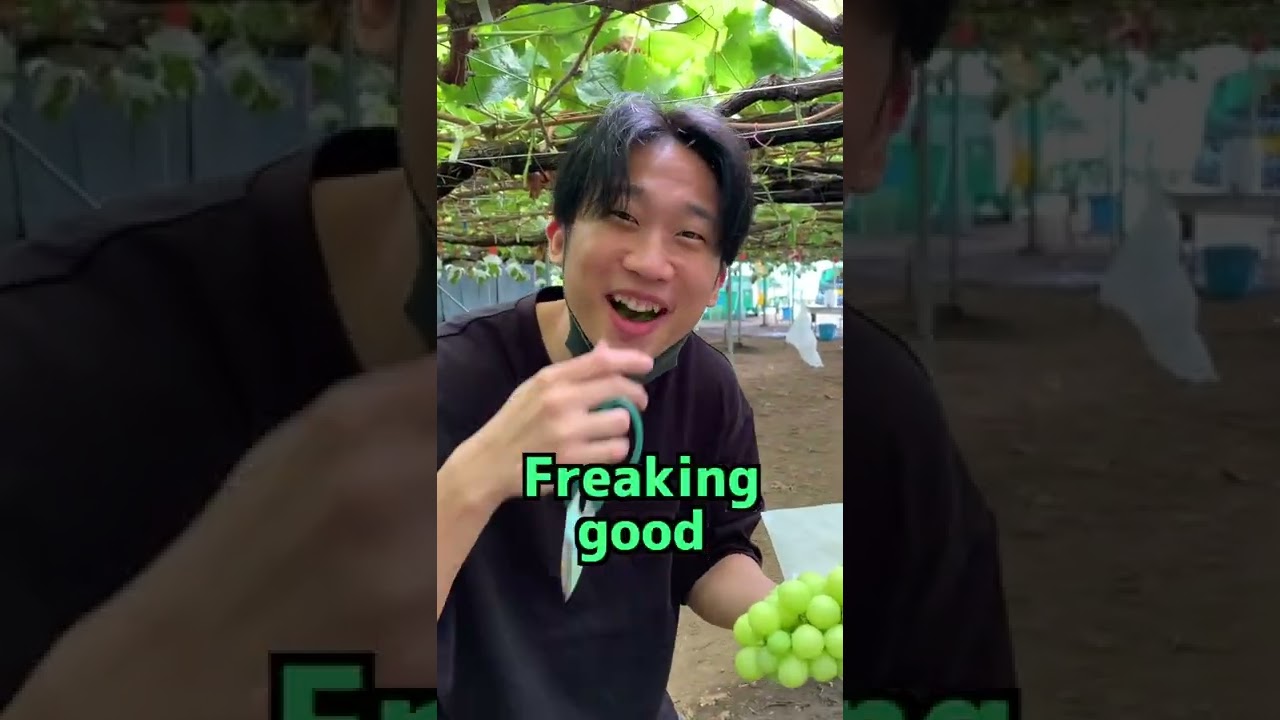 【$17】All you can eat muscats in Japan 