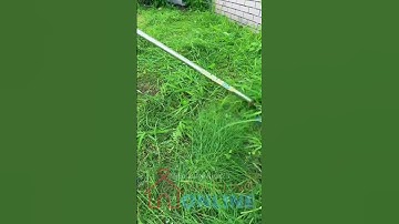 Lưỡi cắt cỏ 3 cạnh tam giác có răng cưa chuyên dùng cắt cỏ cứng dai