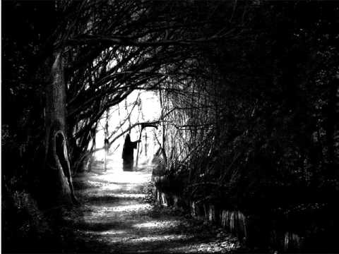 Słoń - Czerń (Pomios blend)