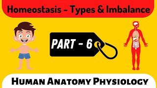 Información Homeostasis - Types & Imbalance | Part - 6 | Human Anatomy Physiology | Doctor Inside Academy Actualización