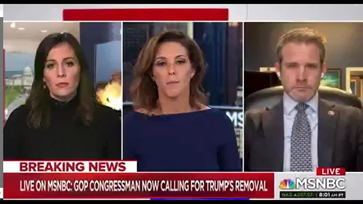 Rep. Kinzinger On MSNBC: Calling For 25th Amendment