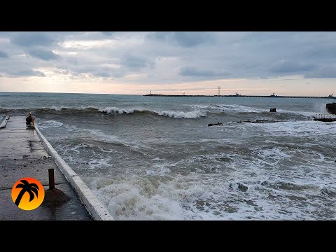 Video: SpotCamp Mustalla Merellä