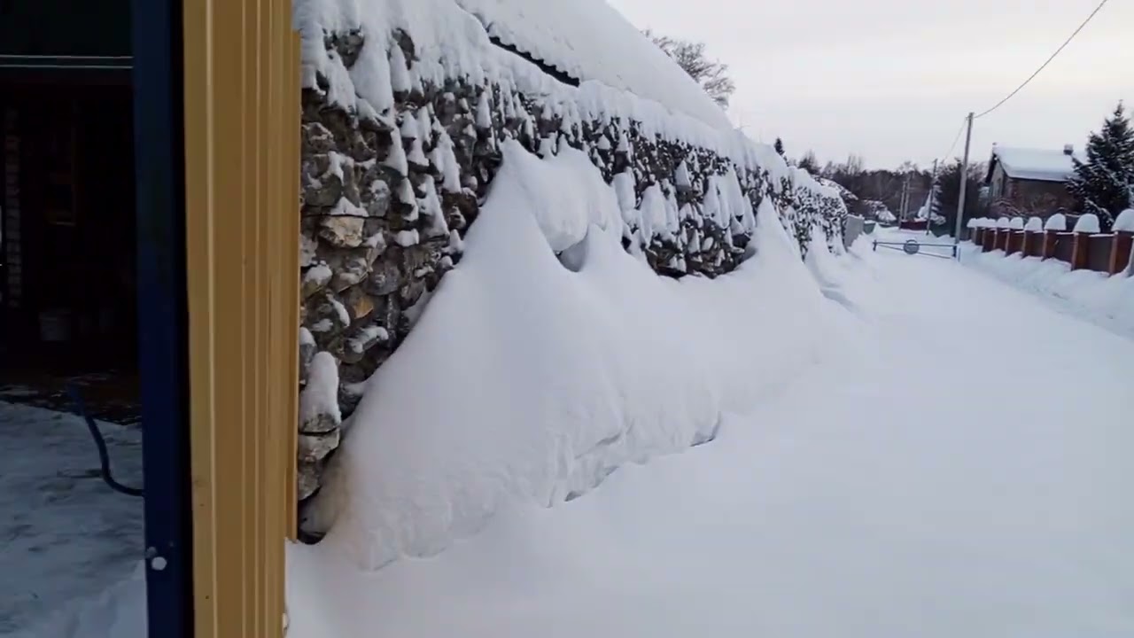 Белки в снежном дворе.