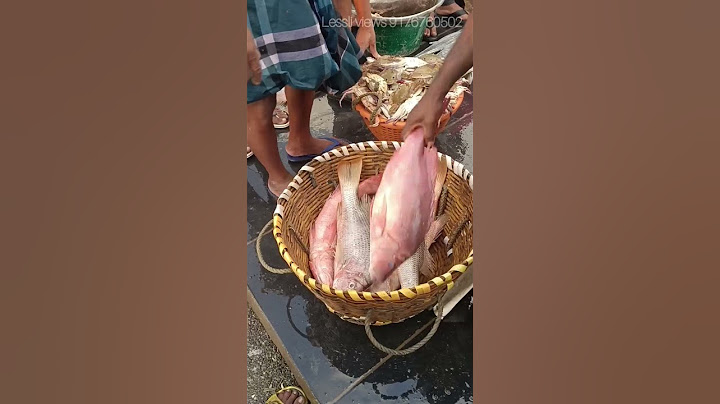 உங்க ஊருல இந்த மீன் பெயர் என்ன? 🙄👍☹️ #fishes #seafood #fish #fishmarket