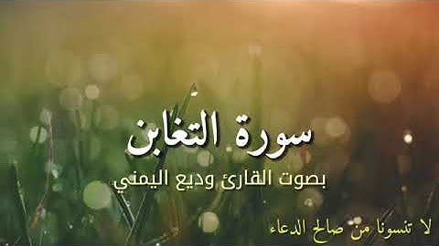 سورة التغابن بصوت القارئ وديع اليمني