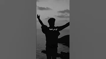 لا يزال خير حيا لا يزال 
