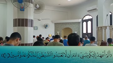 اليوم نختم على أفواههم وتكلمنا أيديهم وتشهد أرجلهم بما كانوا يكسبون| تلاوة خاشعة للشيخ العشري كُريّم