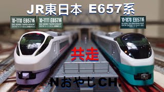 共走 JR東日本 E657系 & E657系(E653系リバイバルカラー(緑)) JR EAST E657 & E657 “E653 revival color GREEN” ＃train
