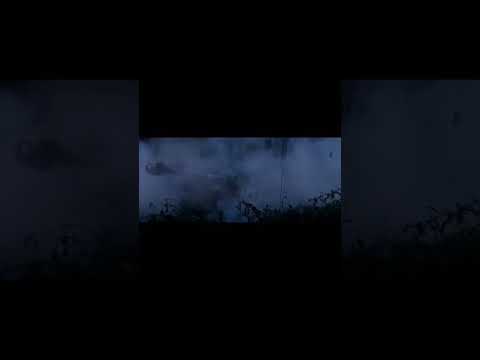 Fury fighting scene