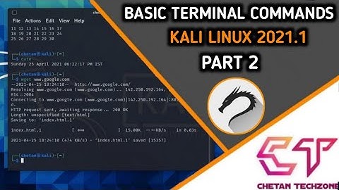 PART 2 | BASIC TERMINAL COMMANDS FOR KALI LINUX IN HINDI