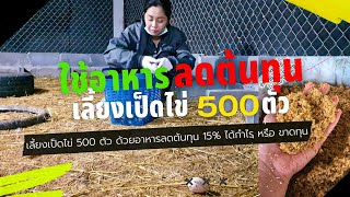 เลี้ยงเป็ดไข่ด้วยอาหารลดต้นทุน | เลี้ยงเป็ดไข่ 500 ตัว นาน 19 เดือน ได้กำไร หรือ ขาดทุน