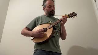 The Staten Island Hornpipe on a Flatiron Scout Mandola (Octave Mandolin Tuning)