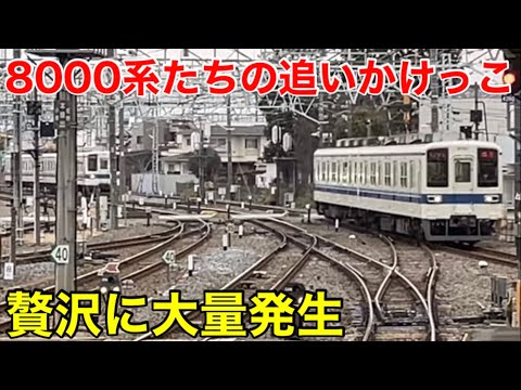 東武8000系どうしの並走】館林駅 東武伊勢崎線・佐野線・小泉線
