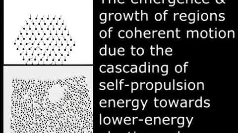 Collective motion dynamics of active solids and active crystals