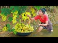 Woman meet grapes along the river - cooking  pork for dog and malayan porcupine eating
