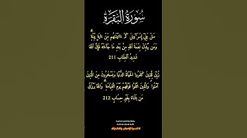 واجب الحفظ لهذا اليوم الآية ٢١١ والإيمان ٢١٢ من سورة البقرة صفحة ٣٣ من القرآن الكريم #العفاسي