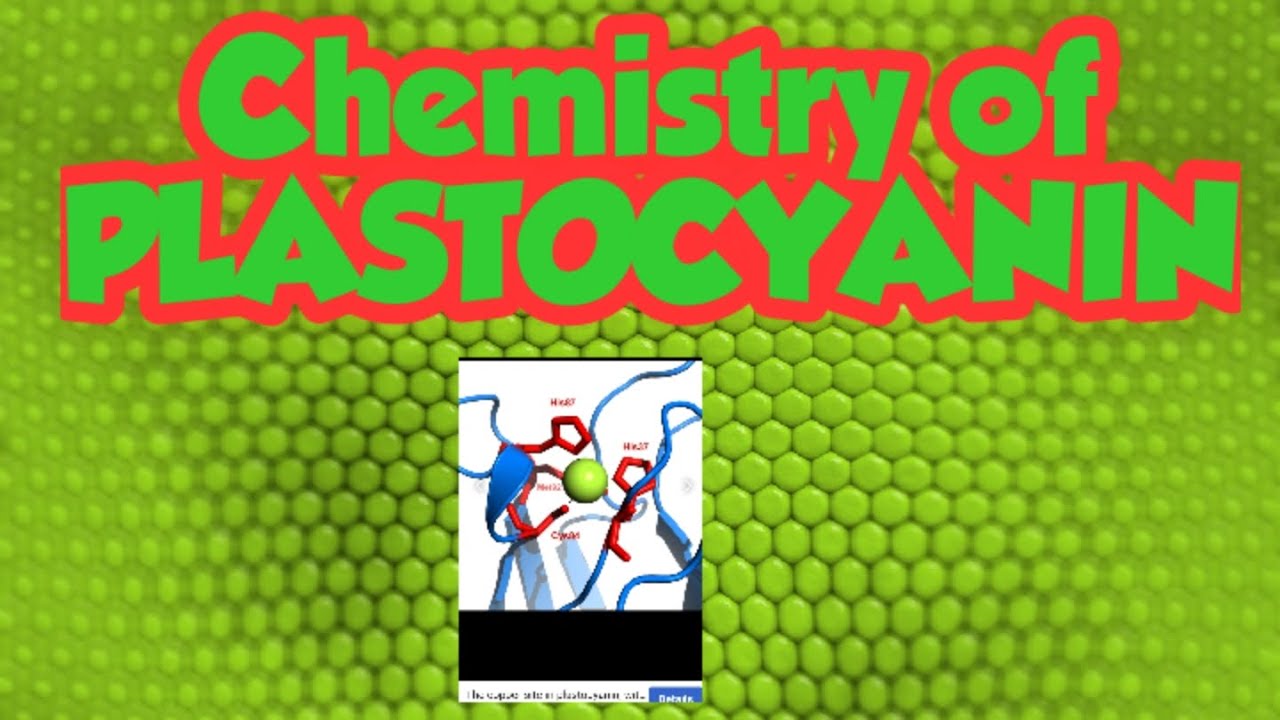 CHEMISTRY OF PLASTOCYANIN YouTube