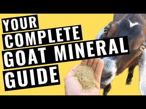 Goat Mineral Guidelines