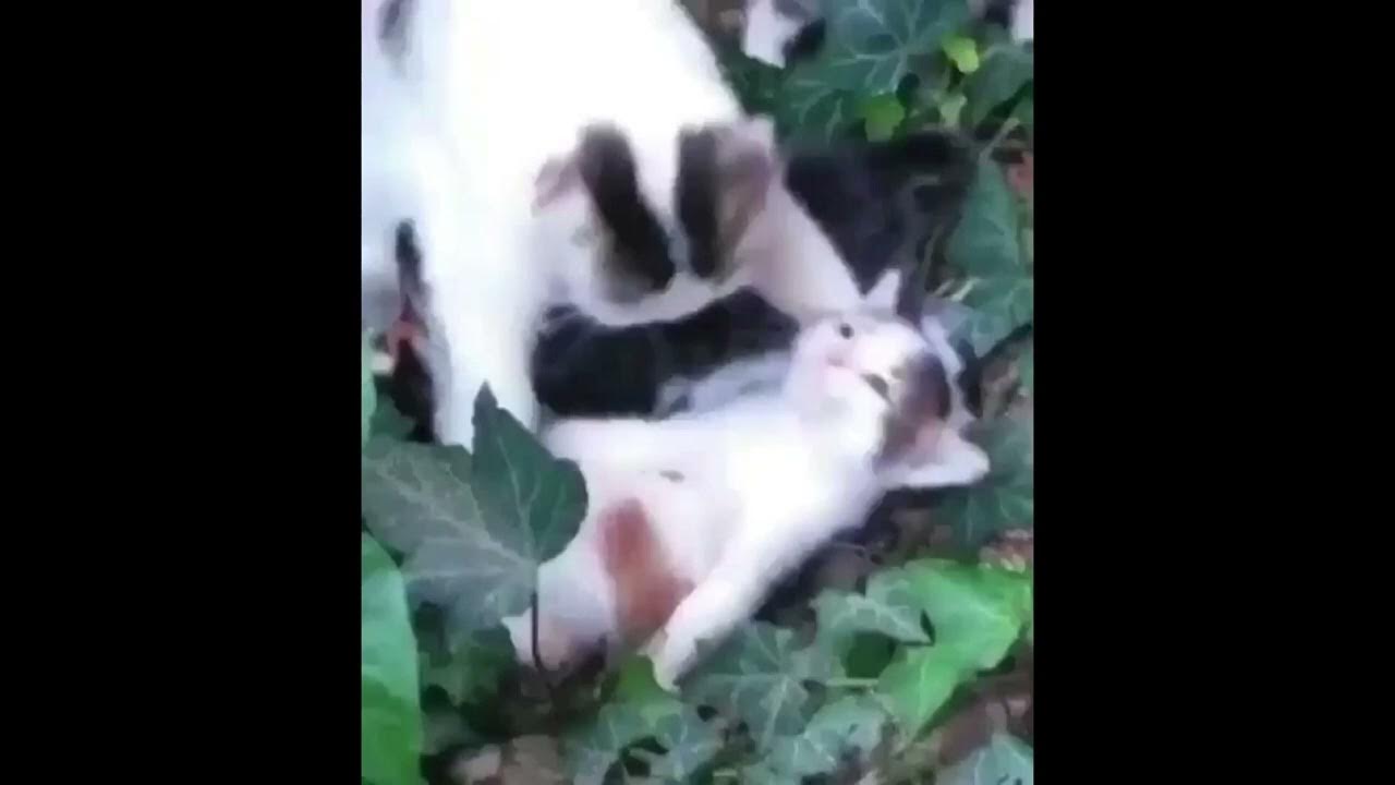 Bye Bye YouTube bye-bye-youtube