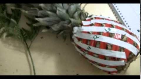 01   Spirals, Fibonacci and being a plant   04   Open letter to Nickelodeon, re  SpongeBob