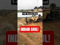 T-90 Bhishma in Action — Russia &amp; India’s Tank Partnership #t90 #shorts
