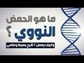 ما هو الحمض النووي DNA؟ وكيف يعمل ؟ شرح بسيط وعلمي