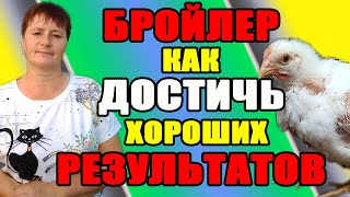 БРОЙЛЕР, как достигать хороших результатов.