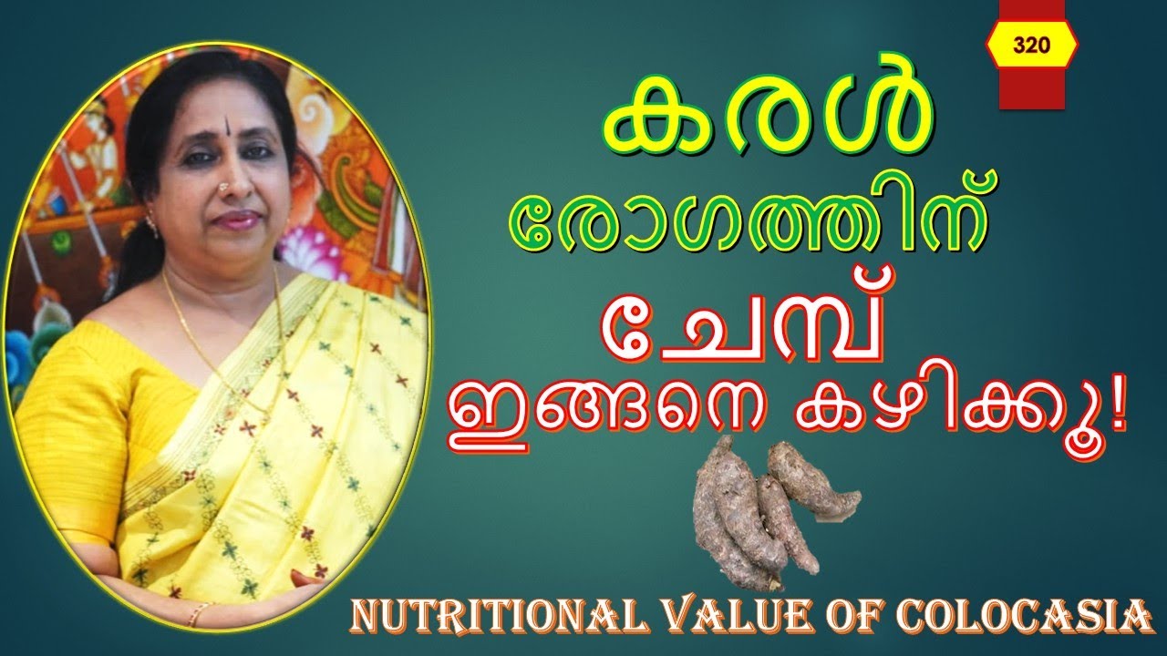 കരൾ രോഗത്തിന് ചേമ്പ് ഇങ്ങനെ കഴിക്കൂ! / Nutritional Value of Colocasia