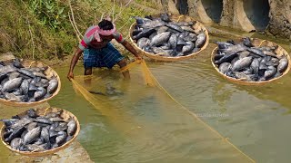 My most favorite Fish TILAPIA FISH CATCHING COOKING | Delicious Kebab of JALEBI FISH in Village MAN