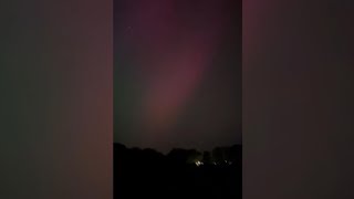 'My God' | Astronomer reacts to Northern Lights