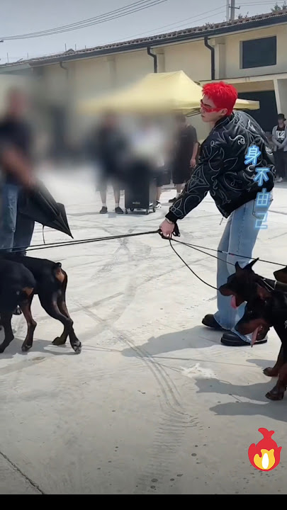 What goes on behind the scenes of Dylan's New MV 'Burn'?🔥😂 #dylanwang #musicvideo #seewe #burn