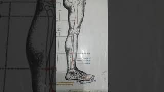 علاج القدم والساق في دقائق. الطب الصيني القديم ابو اسماعيل السماوي