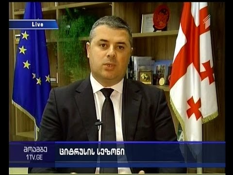 \'რთველი 2015\' დასასრულს უახლოვდება - \'მოამბის\' შეკითხვებს ოთარ დანელიამ უპასუხა