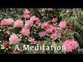 A meditation