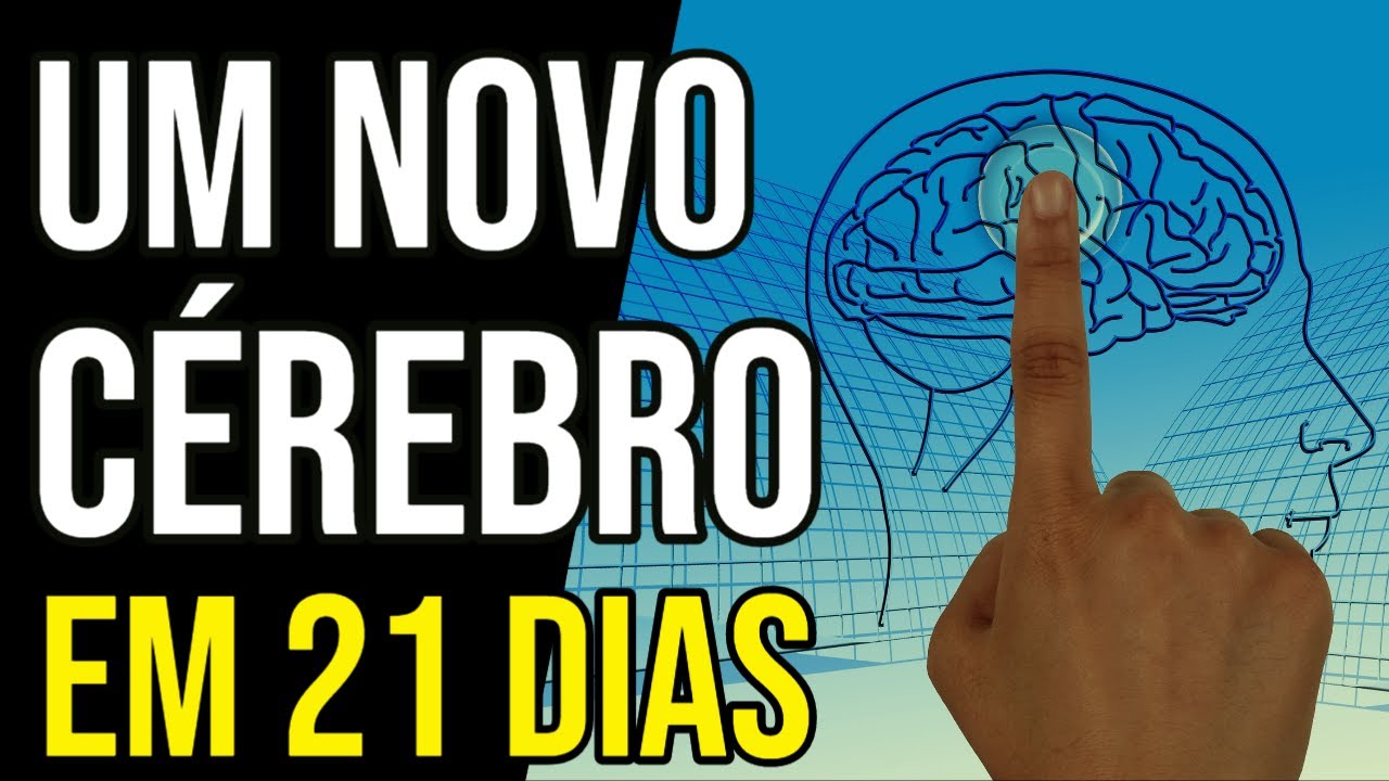 EXERCÍCIO DO CÉREBRO NOVO USANDO NEUROPLASTICIDADE EXERCÍCIO DO CÉREBRO NOVO USANDO NEUROPLASTICIDADE