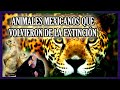 5 Animales Mexicanos que Escaparon de la Extinción