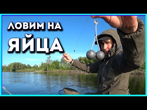 Лещ на Снасть Яйца или разновидность снасти кольцо.