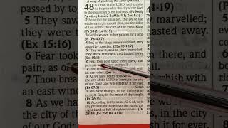 PSALM 48:1-8 || GREAT IS THE LORD || GREATLY TO BE PRAISED #bibleverse #mybible #godisgood