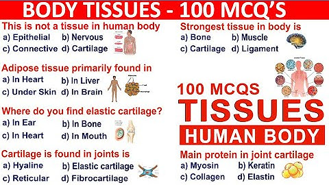 Tissues mcqs | Tissues human body mcqs | MCQs on Connective Tissue | epithelial tissue mcqs #tissue