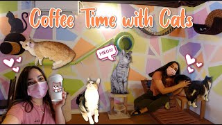 Coffee & Cats In One Place?! ☕+ The Cat Cafe in San Diego